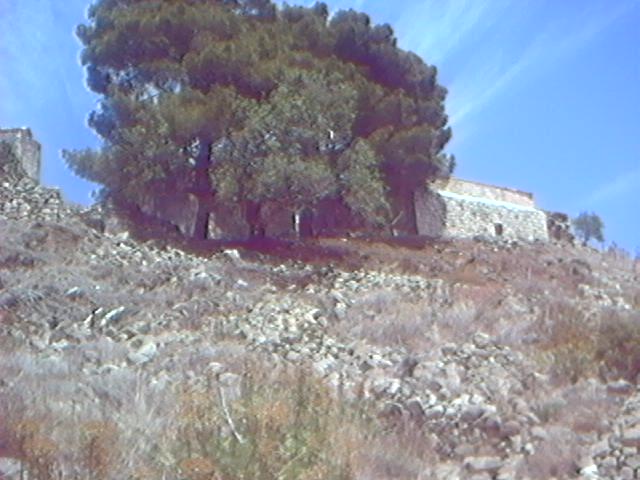 Old Church Ruins